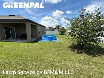 Lawn Cut nearby Groveland, FL, 