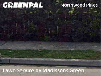 Yard Work in West Palm Beach, 33407, Yard Cutting by Madissons Green, work completed in Dec , 2025