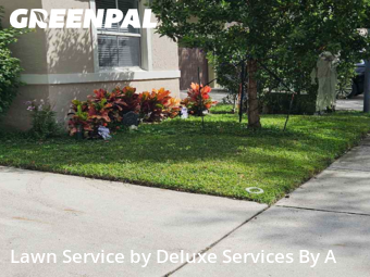 Property Maintenance in Coconut Creek, 33073, Grass Care by Deluxe Services By A, work completed in Nov , 2025