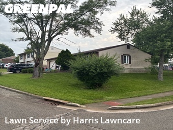 Lawn Cutting nearby Florence, OH, 