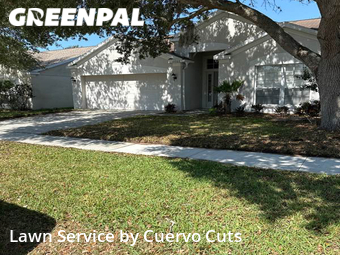 Lawn Cutting nearby Riverview, FL, 