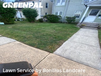 Grass Cut nearby Plainfield, NJ, 