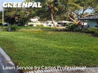 Grass Cut nearby St. Petersburg, FL, 