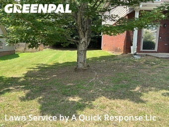 Lawn Cut nearby Ellenwood, GA, 