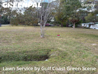 Yard Cutting nearby St. Petersburg, FL, 