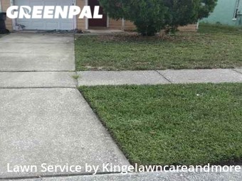 Lawn Cut nearby Gotha, FL, 