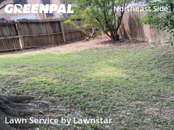 Lawn Cut nearby Schertz, TX, 
