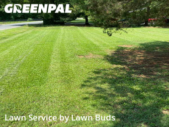 Lawn Maintenance nearby Charlotte, NC, 
