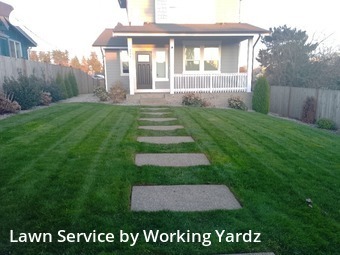 Lawn Care nearby Tacoma, WA, 