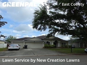 Grass Cut nearby Valrico, FL, 
