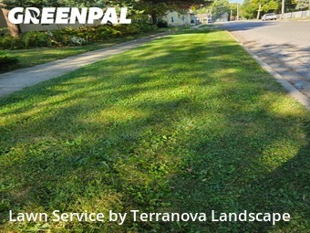 Yard Cuttingin Aurora,60505,Lawn Mow by Terranova Landscape, work completed in Nov , 2025