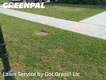 Lawn Cut nearby New Orleans, LA, 