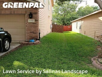 Yard Cutting nearby Leon Valley, TX, 