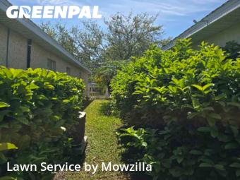 Lawn Mow nearby Riverview, FL, 