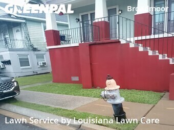 Grass Cut nearby New Orleans, LA, 