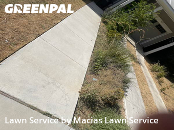 Lawn Cut nearby San Antonio, TX, 