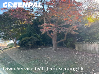 Lawn Care Service nearby Drexel Hill, DE, 