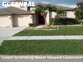 Grass Cut nearby Zephyrhills, FL, 