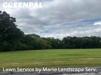 Lawn Cut nearby Zion, IL, 