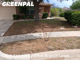 Yard Cutting nearby Haslet, TX, 