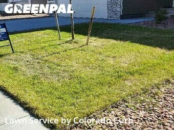Grass Cutting nearby Colorado Springs, CO, 