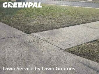 Lawn Cut nearby Killeen, TX, 