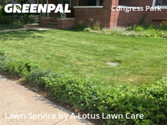 Lawn Cut nearby Denver, CO, 