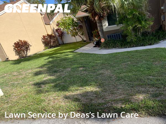 Grass Cut nearby Pembroke Pines, FL, 