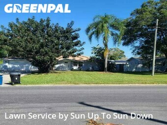 Grass Cut nearby Clearwater, FL, 