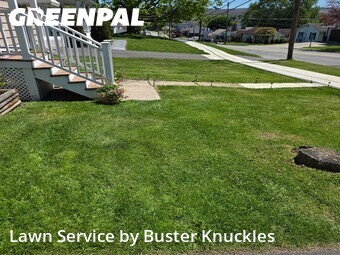 Grass Cut nearby Blakely, PA, 