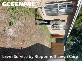 Lawn Mow nearby Tampa, FL, 