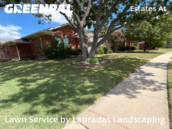 Lawn Cut nearby Plano, TX, 