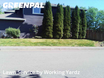 Grass Care in Renton, 98059, Yard Care Services by Working Yardz, work completed in Aug , 2025