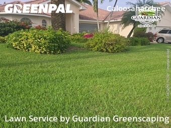 Lawn Cut nearby Cape Coral, FL, 