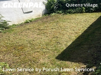 Lawn mowed in Queens, 11429