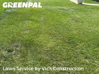 Lawn Mowing nearby Bolingbrook, IL, 