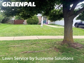 Grass Cut nearby Bolingbrook, IL, 