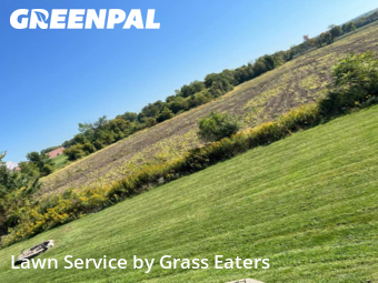 Grass Cutting nearby Byron Center, MI, 