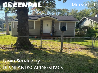 Grass Cut nearby Jacksonville, FL, 