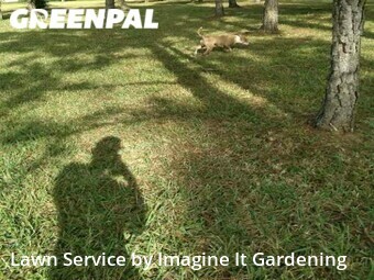 Lawn Carein Doral,33178,Yard Mowing by Imagine It Gardening , work completed in Dec , 2025