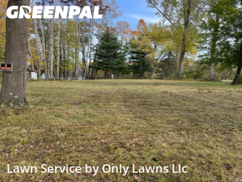 Yard Work in Oxford, 53952, Lawn Management by Only Lawns Llc, work completed in Nov , 2025