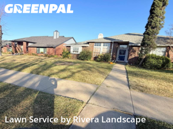 Lawn Cuttingin The Colony,75056,Yard Cutting by Rivera Landscape , work completed in Jan , 2026