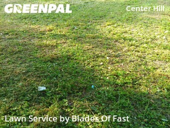Lawn Care Servicein Atlanta,30318,Grass Cutting by Blades Of Fast, work completed in Jun , 2026