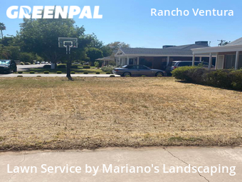 Lawn Care nearby Phoenix, AZ, 