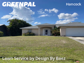 Grass Cut nearby Cape Coral, FL, 