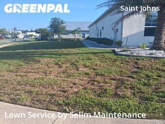 Grass Cutting nearby St. Johns County, FL, 