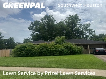 Lawn Carein Bellaire,77401,Grass Cut by Prizel Lawn Services, work completed in Jun , 2026