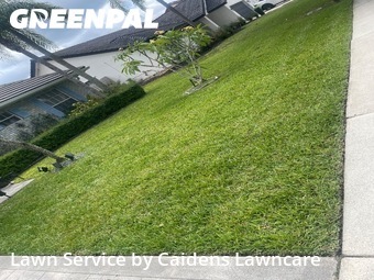 Lawn Cuttingin Davie,33325,Lawn Cutting by Caidens Lawncare , work completed in Jun , 2026