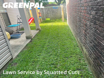 Lawn Maintenance nearby Lafayette, LA, 