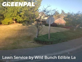 Lawn Service nearby Sammamish, WA, 